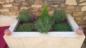 a planter with plants in front of a stone wall at La Pintada Casa Rural in Cañícosa