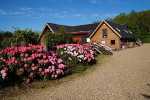 a bunch of flowers in front of a house at Hedelandets Camping in Sevel