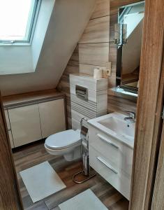 La salle de bains est pourvue de toilettes et d'un lavabo. dans l'établissement Apartament Gdańsk'a, à Nowy Dwór Gdański