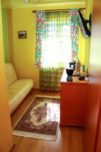 ein Wohnzimmer mit einem Sofa und einem Fenster in der Unterkunft Apartament Iulia in Geoagiu-Băi