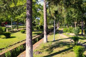 Zahrada ubytování Apartament Iulia