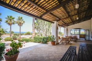 d'une terrasse avec des bancs, des tables et des palmiers. dans l'établissement Kite Hostel Stagnone, à Marsala