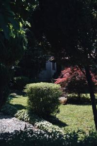 a garden with a bush and a house in the background at House for rest Juliet in Velika Gorica