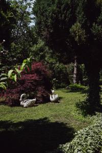 two ducks sitting in the grass in a park at House for rest Juliet in Velika Gorica