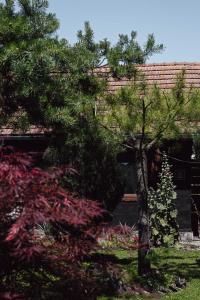 a tree in a yard next to a house at House for rest Juliet in Velika Gorica