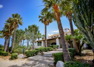 una casa sulla spiaggia con palme di Kite Hostel Stagnone a Marsala