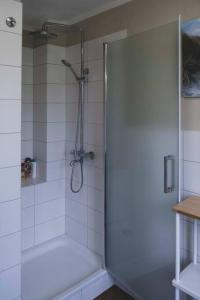a shower with a glass door in a bathroom at Moderne Wohnung im Herzen der Natur - Ingo's Dream in Bäbelin