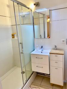 La salle de bains est pourvue d'une douche et d'un lavabo. dans l'établissement Appartement cossy 1 chambre pour 2 pers - rénové - terrasse - parking, à Dinard