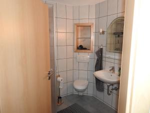 a small bathroom with a toilet and a sink at Moselweinlaub in Bruttig-Fankel