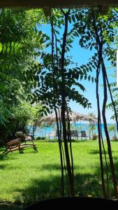 - Vistas a un parque con sillas y árboles en Vila Thailanda in Katakolo en Pýrgos