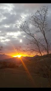 una puesta de sol en el desierto con un árbol en primer plano en A casa di Matisse - appartamento vacanze, en Urbino