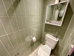 a bathroom with a white toilet and a mirror at South Road Room in Aberystwyth