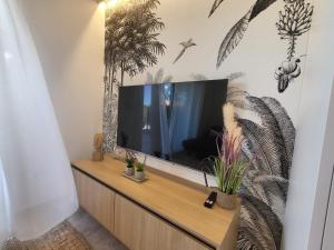TV a/nebo společenská místnost v ubytování Coco de Luxe Apartment
