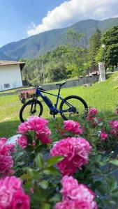 a bike parked in a field with pink flowers at B&B Stari Mlin - Vecchio Mulino in San Giorgio