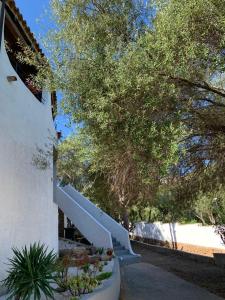 a staircase leading up to a house with trees at Casa Le Cicale in Porto Istana