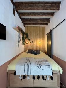 een slaapkamer met een groot bed in een kamer bij B&B "Mañana" in Haarlem