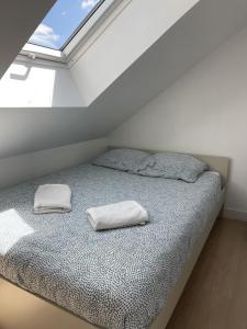 1 dormitorio con 1 cama con 2 almohadas en Cοcοοn, en Dinan