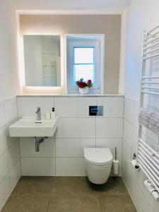 a bathroom with a toilet and a sink and a window at Allgäulodge Memmingen in Memmingen