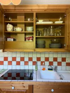 a kitchen with a sink and cabinets with dishes at Les Frahans in Samoëns