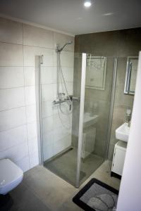 a bathroom with a shower and a toilet at Ferien an der Eiche in Schermbeck