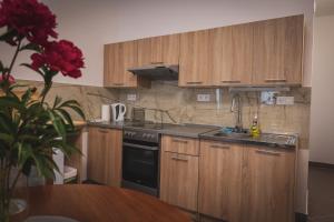 Eldhús eða eldhúskrókur á Hotel Apartment Faraon