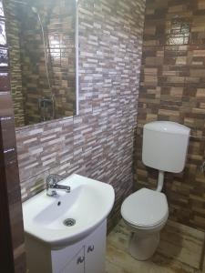 A bathroom at Vila Sura Razoare