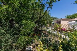 Zahrada ubytování Bougainvillea house with private garden
