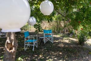 Zahrada ubytování Bougainvillea house with private garden