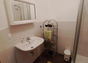 łazienka z umywalką, lustrem i toaletą w obiekcie Appartement Zirkl / Haus Gloria w mieście Haus im Ennstal +26 zdjęć