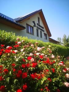 budynek z czerwonymi kwiatami przed nim w obiekcie Pensjonat Ślepowron w mieście Międzywodzie