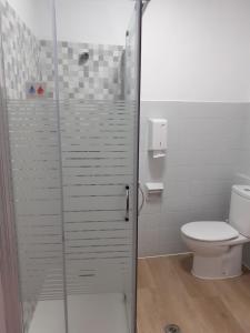 a bathroom with a toilet and a glass shower stall at Pensión Río Umia in Caldas de Reis