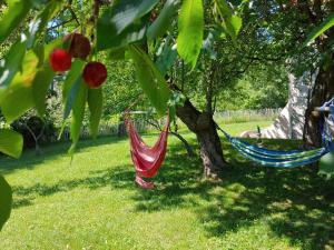 Zahrada ubytování Ferienhaus zur Opernsängerin