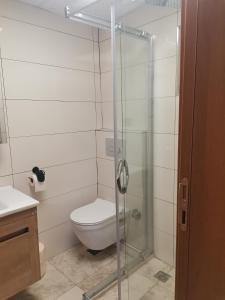 a bathroom with a toilet and a glass shower at SIĞACIK SEN KONUK EVİ in Seferihisar