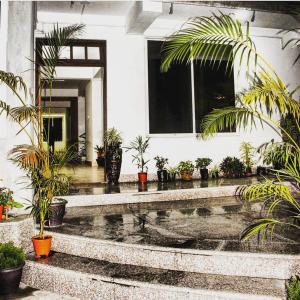 a house with potted plants in the rain at Hotel Seren Point in Kalimpong