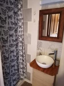 een badkamer met een wastafel, een spiegel en een douchegordijn bij la fée viviane et michel l'enchanteur in Robion en Luberon
