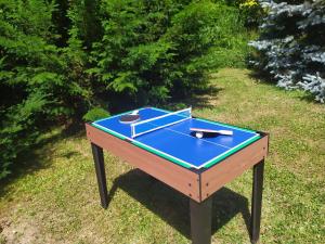 a blue ping pong table in a yard at Chata se zahradou in Týnec nad Labem