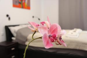 Fotografia z galérie ubytovania APARTMÁN K2 Zuberec v Zuberci