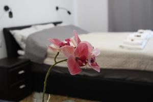 Fotografia z galérie ubytovania APARTMÁN K2 Zuberec v Zuberci