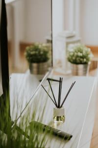 Apartamento REY ENEO في هارو: طاولة زجاجية عليها نباتات الفخار