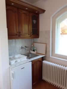Kuchyň nebo kuchyňský kout v ubytování Csopak Mariann Apartman + 37 fotografií