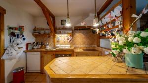 Kuchyň nebo kuchyňský kout v ubytování Apartment Ernestova hiša