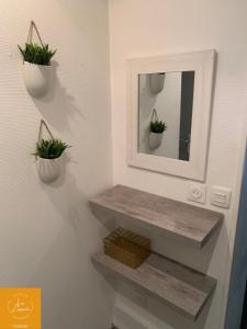 een badkamer met 2 potplanten en een spiegel bij ~~ LE DESCELIERS ~~ Centre Dieppe in Dieppe