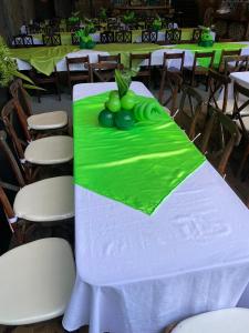 una mesa con un pastel verde encima en Hotel Camino Surreal Xilitla, en Xilitla