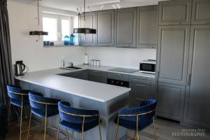 Virtuvė arba virtuvėlė apgyvendinimo įstaigoje D Apartments "Z wizytą u Branickich"