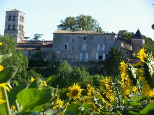 SersにあるChâteau de Sersの古い建物と黄花畑