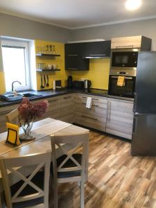 Kuchyň nebo kuchyňský kout v ubytování Apartmán Lomňanka