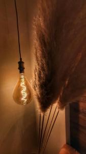 uma luz pendurada numa parede com uma lâmpada peluda em Motel Castello em Smederevska Palanka