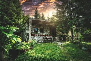 una pequeña casa de piedra en medio de un patio en Guest house Hyrmet Demushi, en Valbonë
