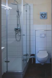 a bathroom with a shower and a toilet at ExklusiveWohnung mitten in der Natur - Ruth's Nest in Bäbelin