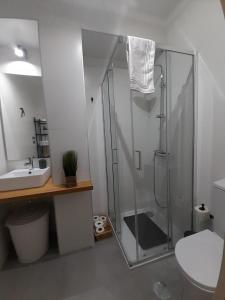 Et badeværelse på Amália Rodrigues -apartamento com 3 quartos em pleno coração de Ílhavo